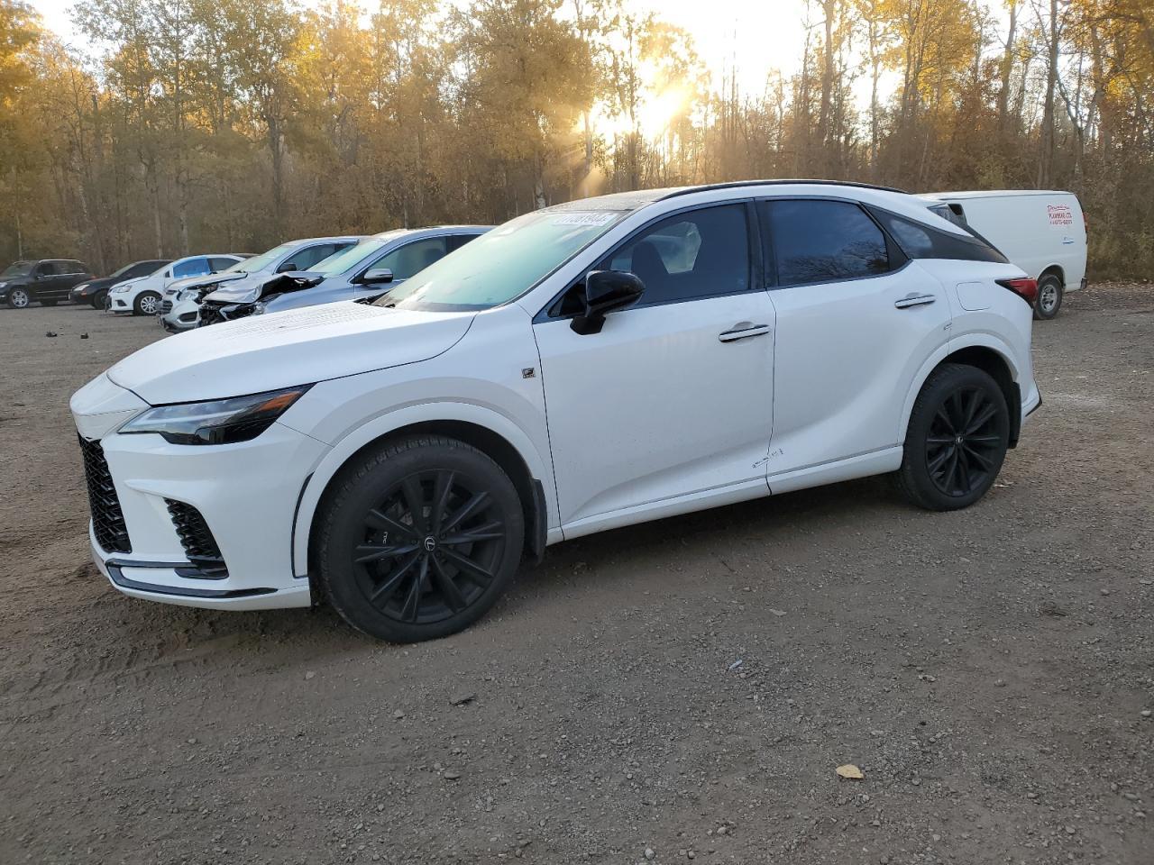 2023 LEXUS RX 500H F car image