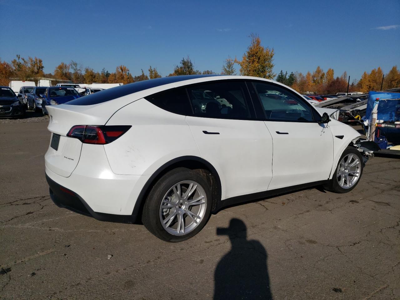 2023 TESLA MODEL Y - Image 3