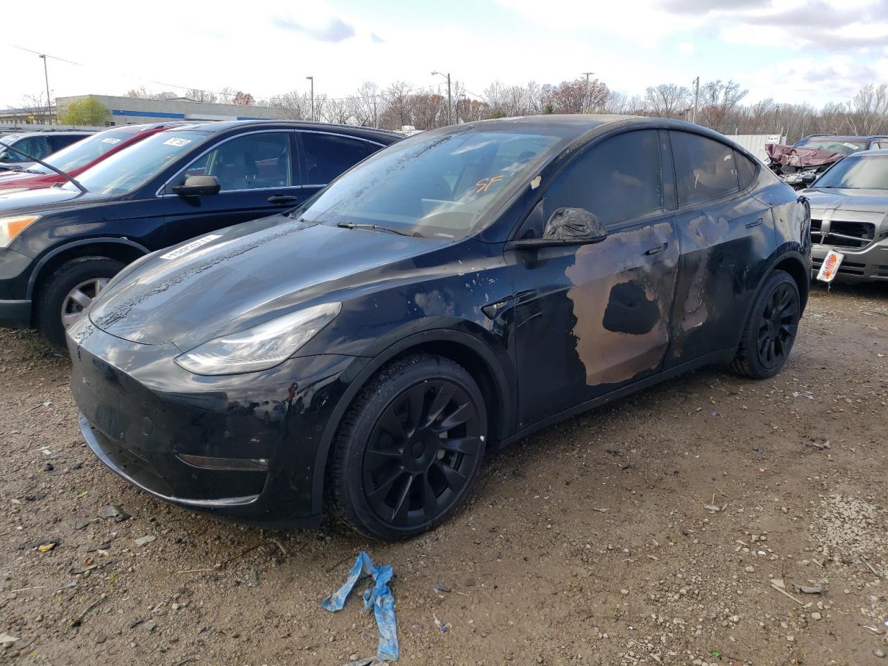 2021 TESLA MODEL Y car image