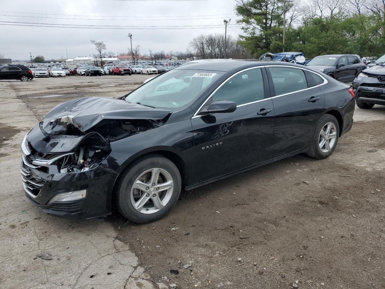 2019 CHEVROLET MALIBU LS