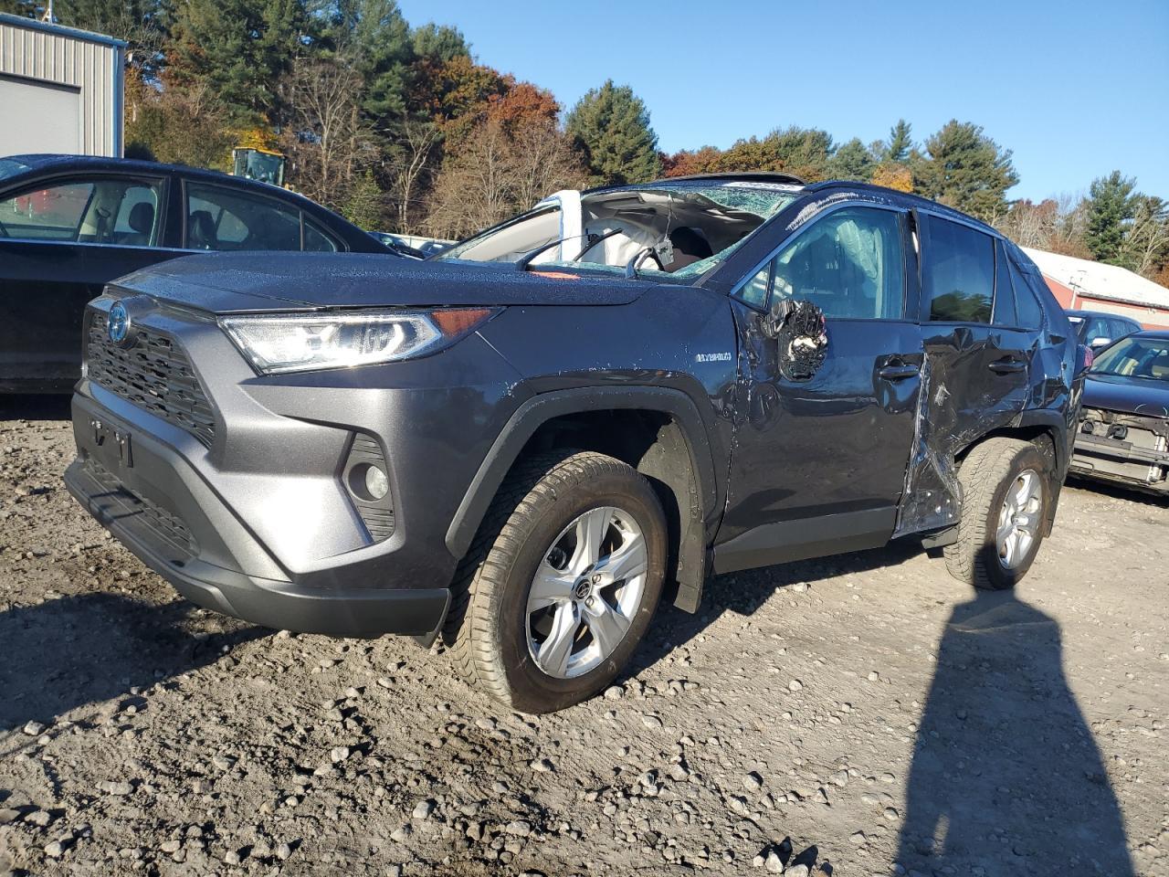 2021 TOYOTA RAV4 XLE car image