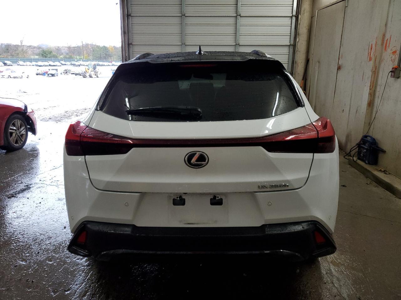 2023 LEXUS UX 250H BA - Фото 6