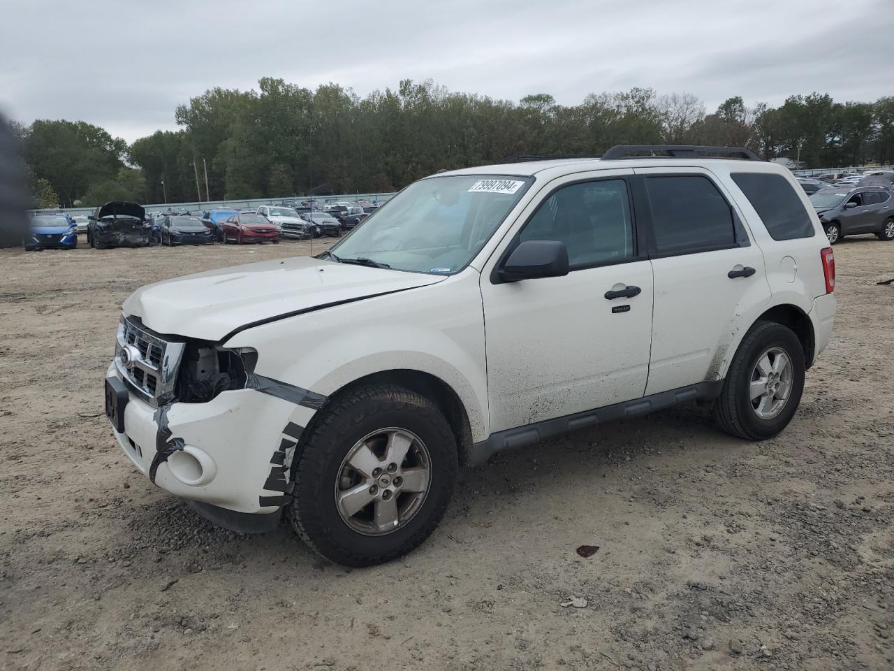 2010 FORD ESCAPE XLT