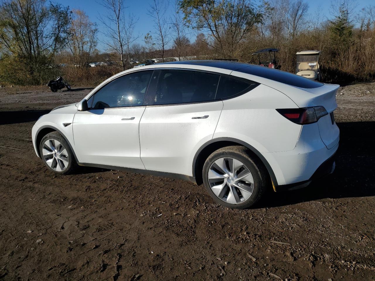2023 TESLA MODEL Y - Фото 2