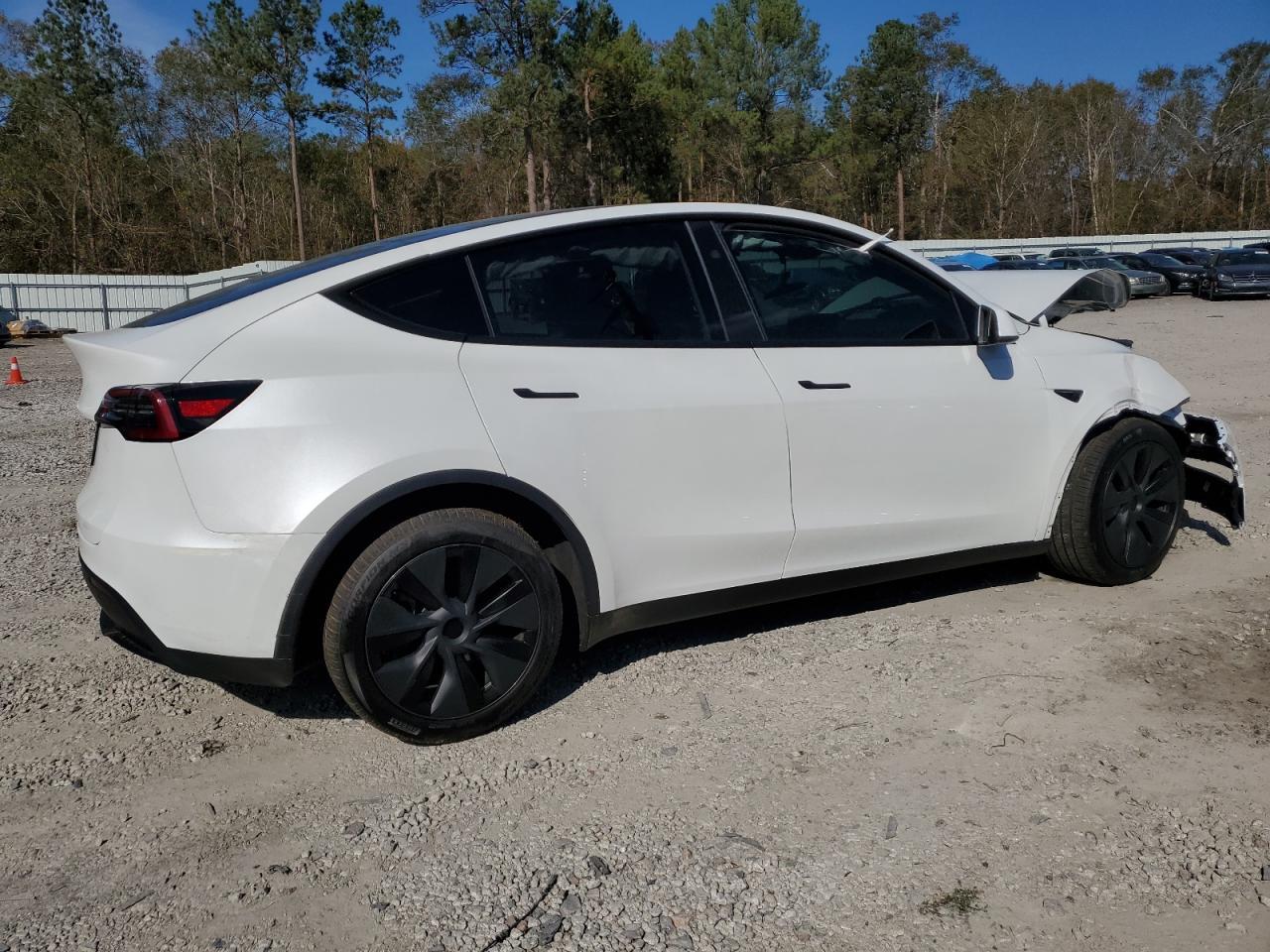 2025 TESLA MODEL Y - Image 3