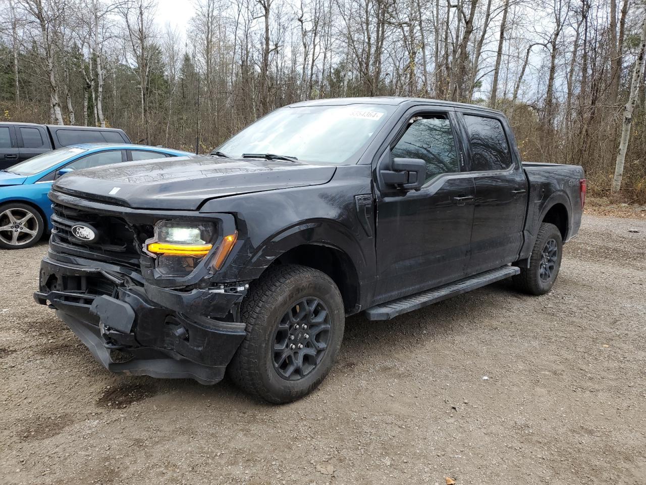 2024 FORD F150 XLT car image