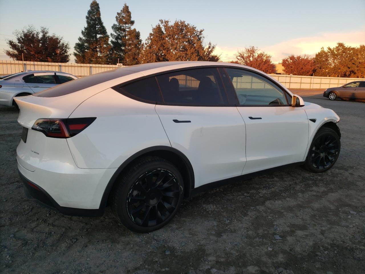 2023 TESLA MODEL Y - Фото 3