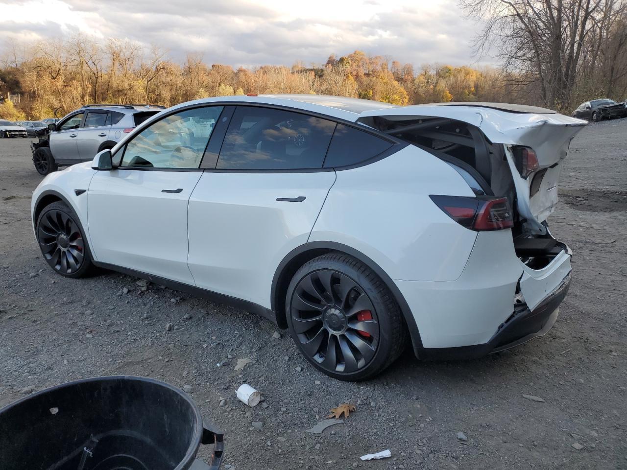 2023 TESLA MODEL Y - Фото 2