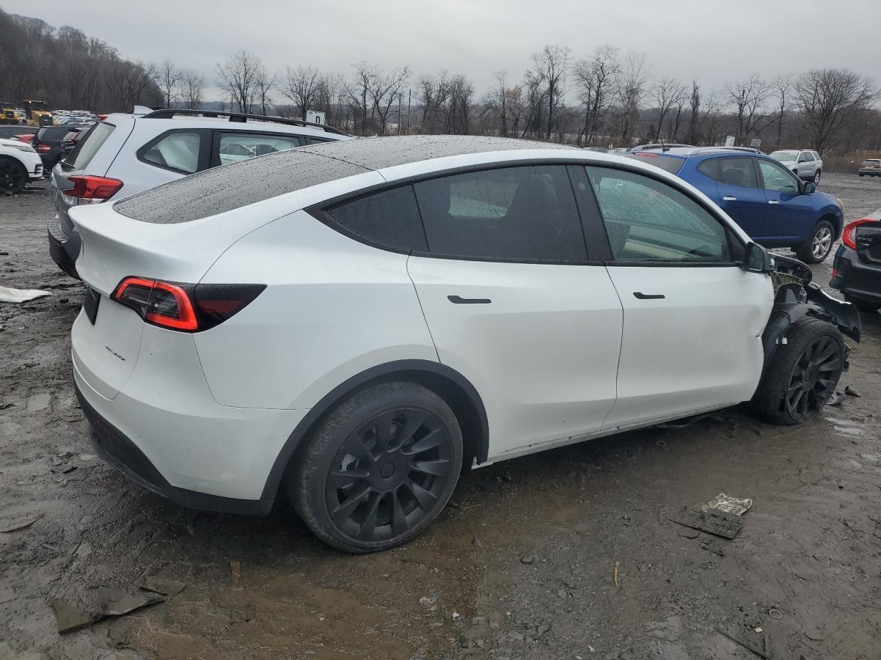 2023 TESLA MODEL Y - Фото 3