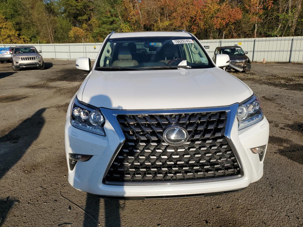 2017 LEXUS GX 460 - Фото 5