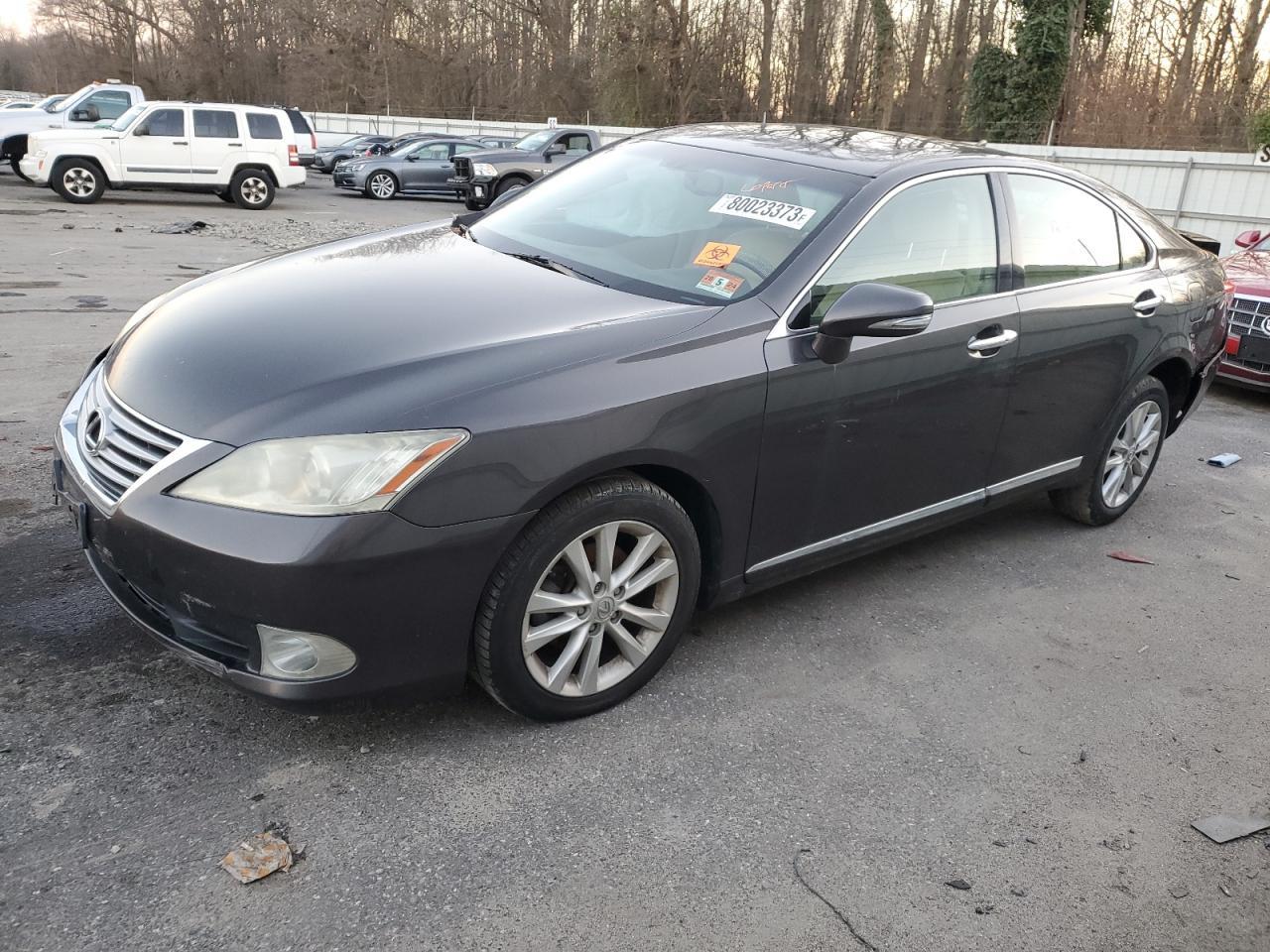 2010 LEXUS ES 350 car image