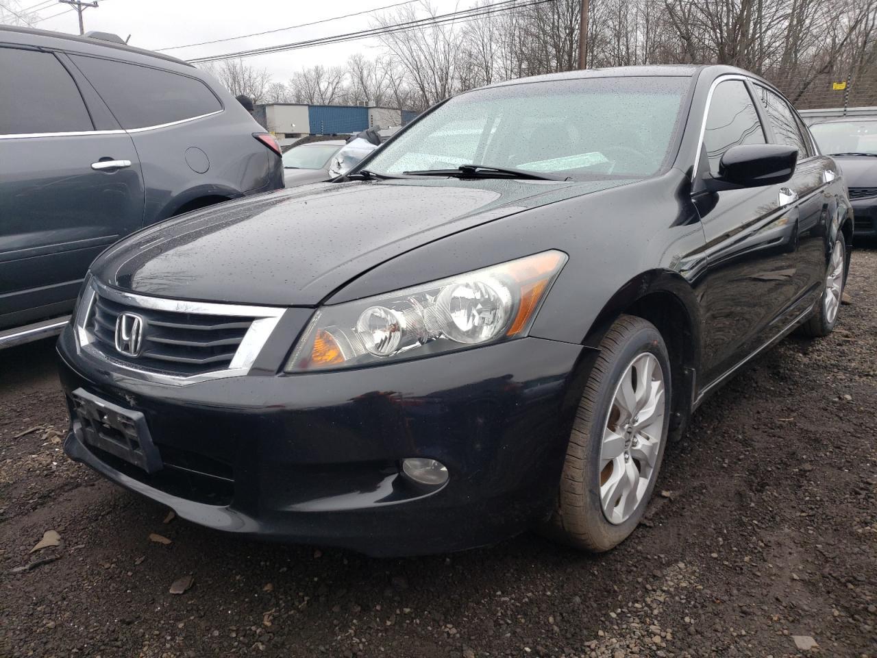 2010 HONDA ACCORD EXL car image