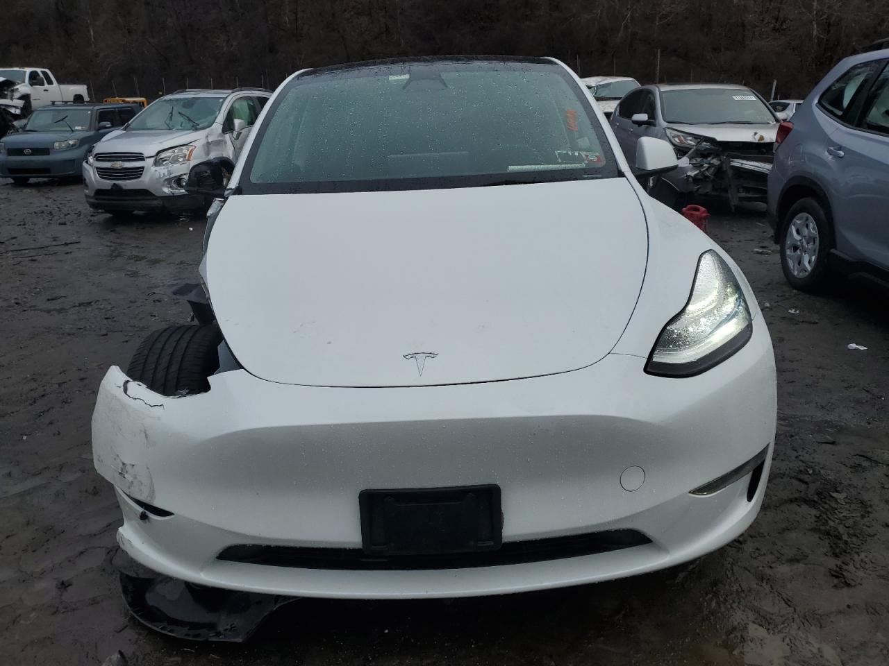 2023 TESLA MODEL Y - Фото 5