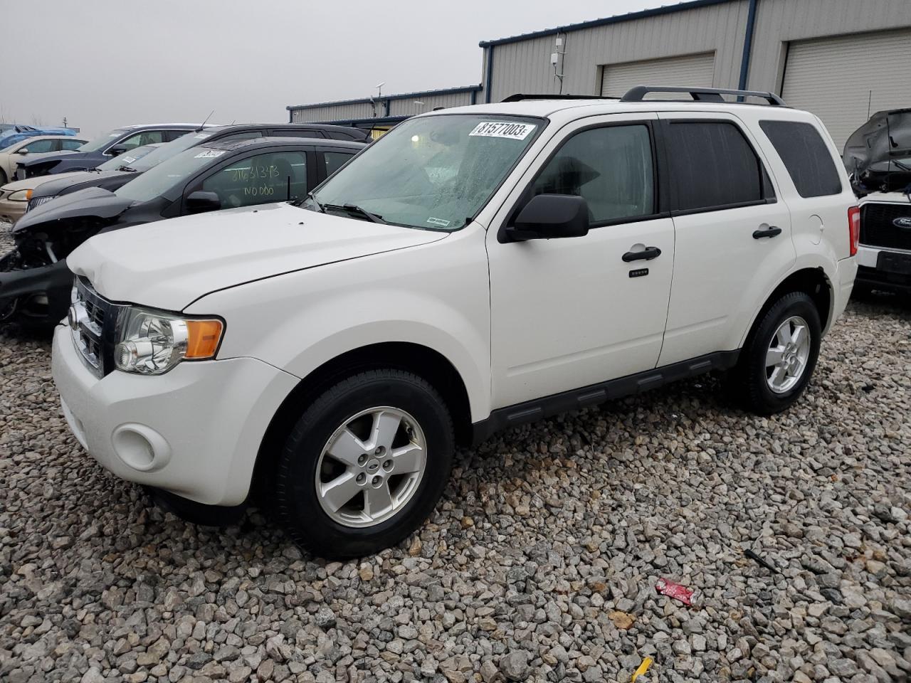 2010 FORD ESCAPE XLT