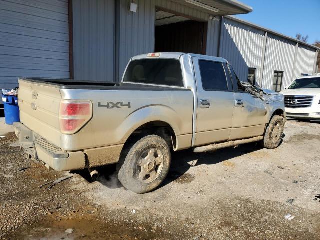 2010 Ford F150 Supercrew - Фото 3