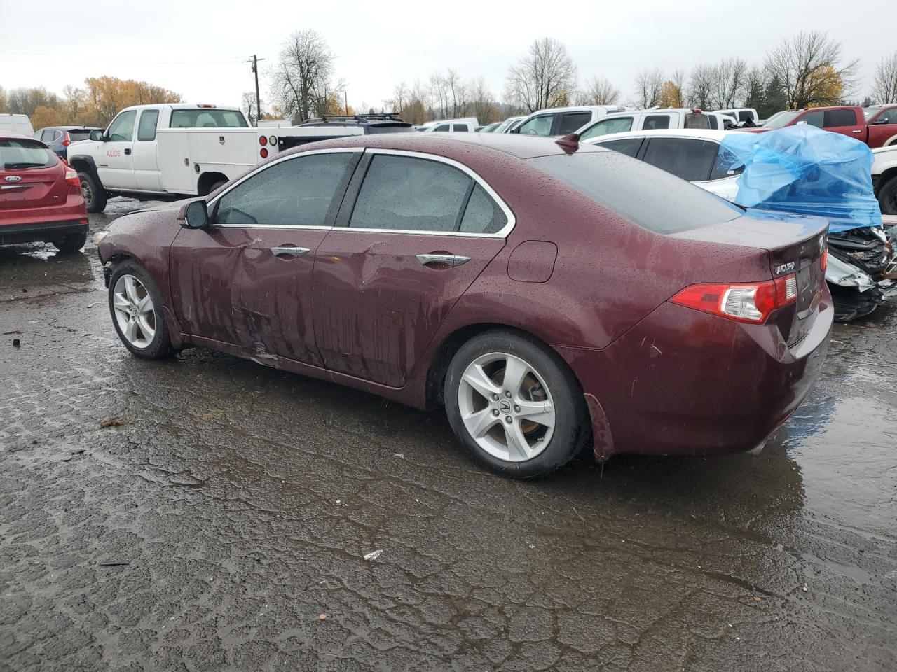 2010 ACURA TSX - Image 2