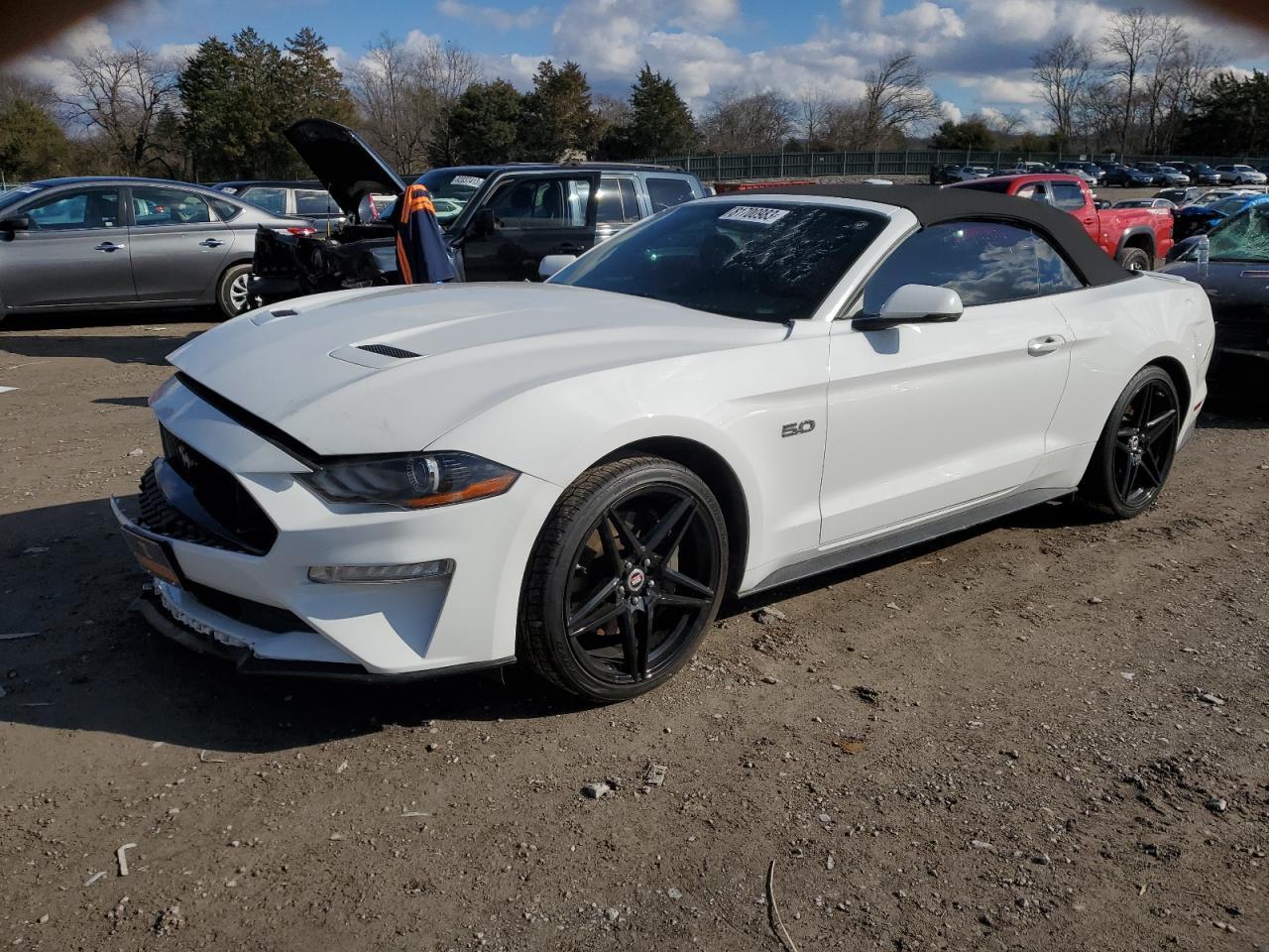 2019 FORD MUSTANG GT car image