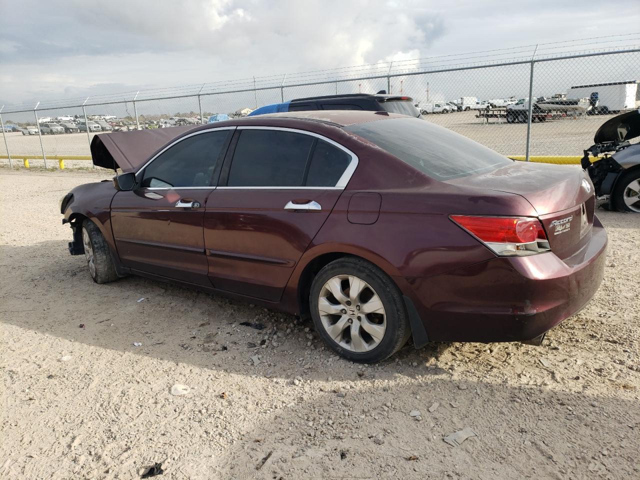2010 HONDA ACCORD EXL - Фото 2