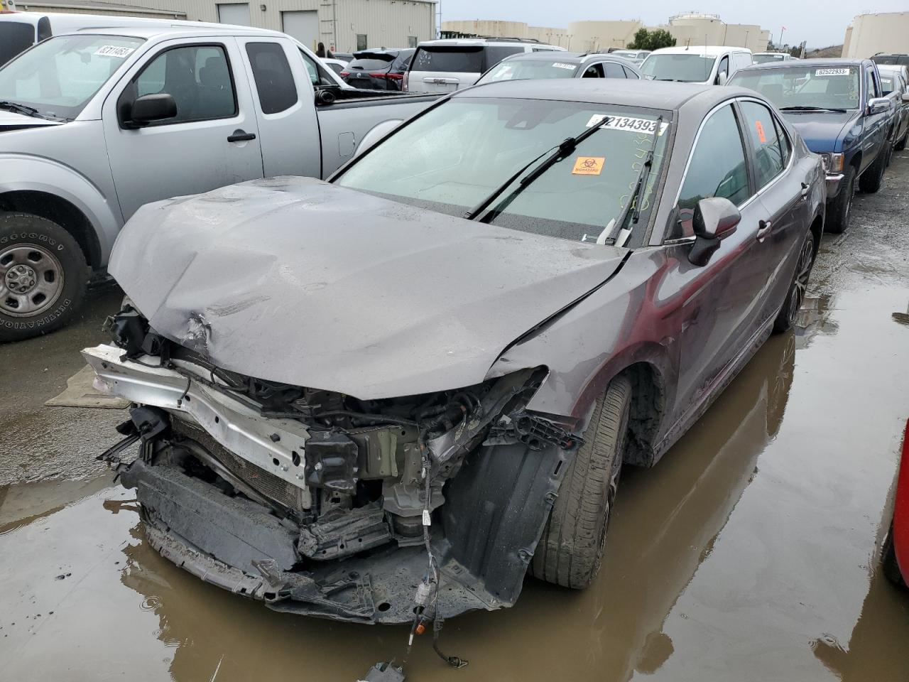 2019 TOYOTA CAMRY L