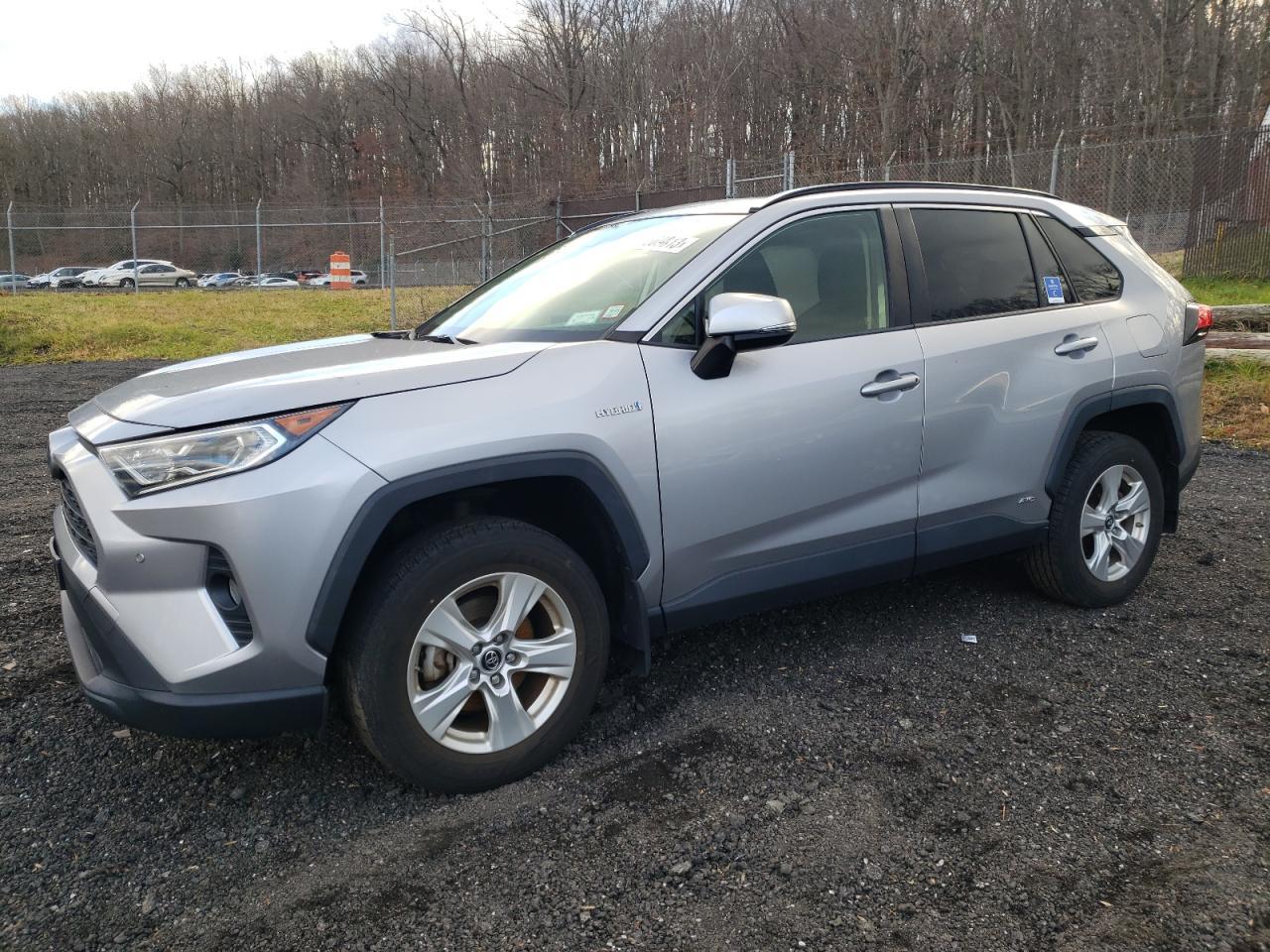 2019 TOYOTA RAV4 XLE car image