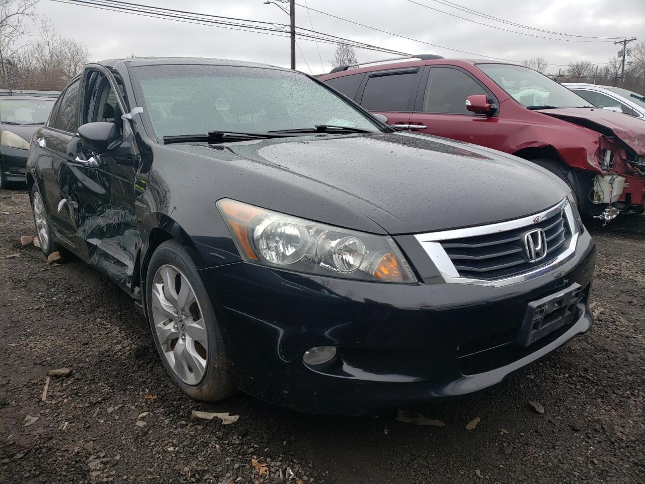 2010 HONDA ACCORD EXL - Image 4