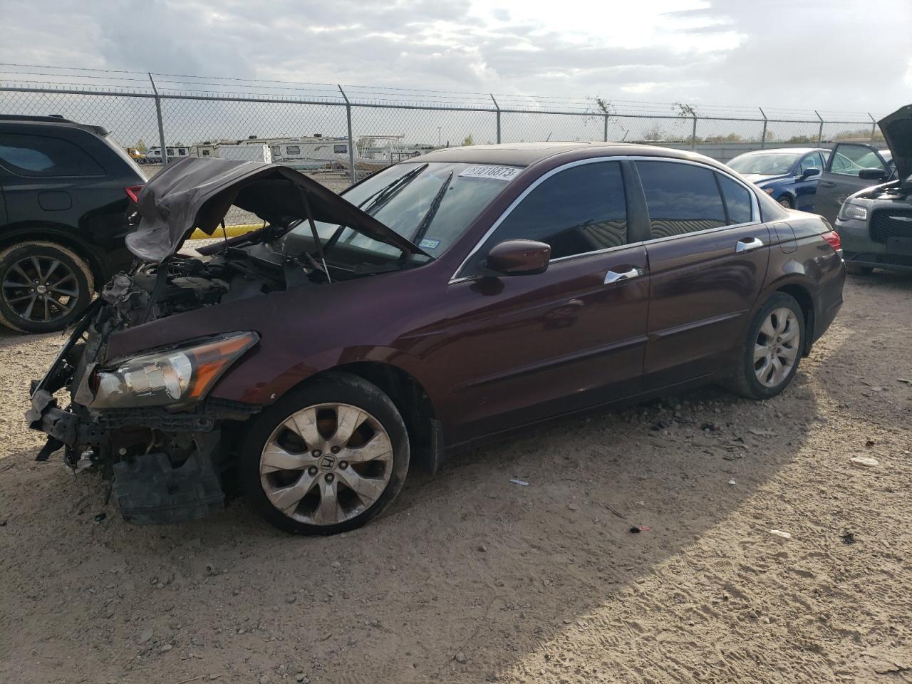 2010 HONDA ACCORD EXL