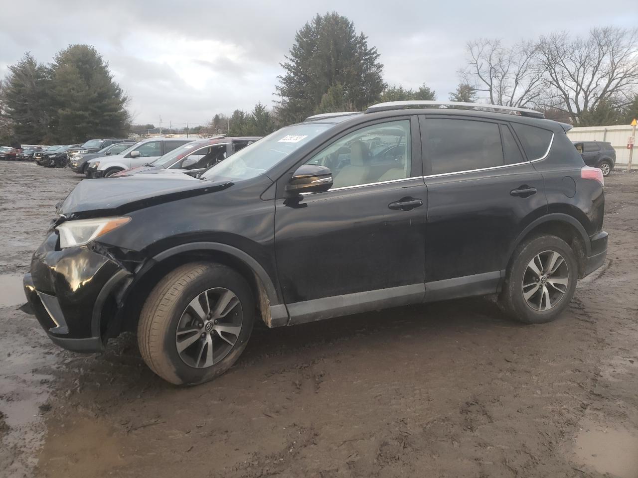 2017 TOYOTA RAV4 XLE car image