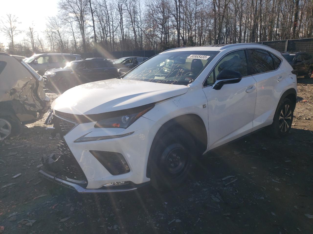 2019 LEXUS NX 300 BAS car image