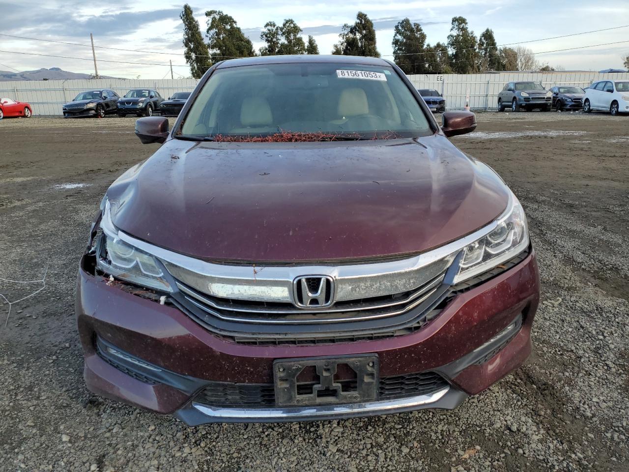 2016 HONDA ACCORD EXL - Фото 5