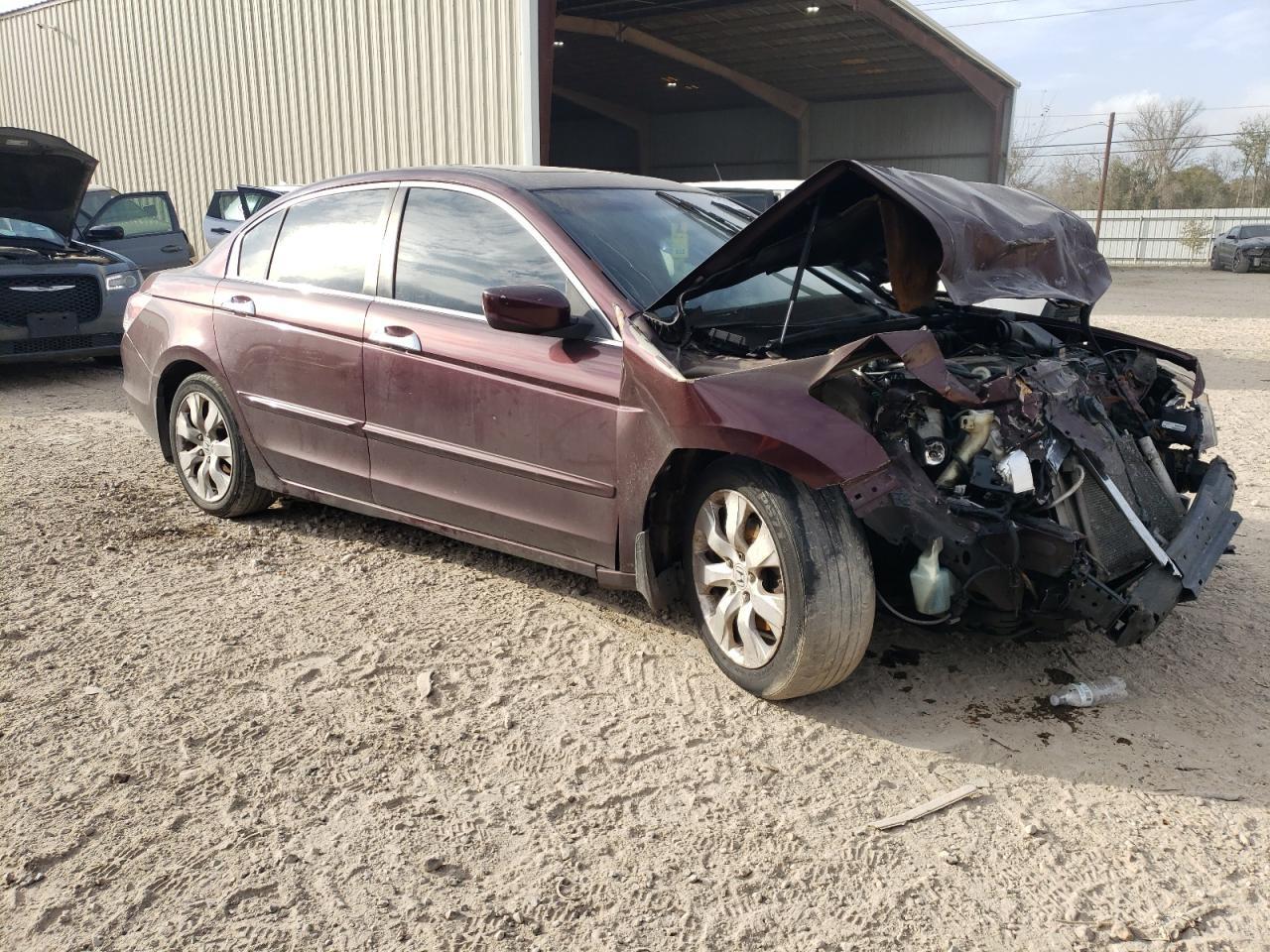 2010 HONDA ACCORD EXL - Фото 4
