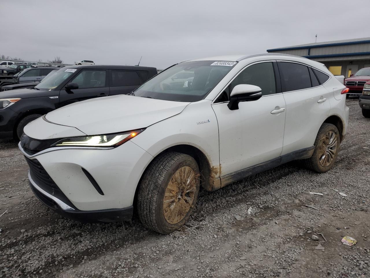 2021 TOYOTA VENZA LE car image