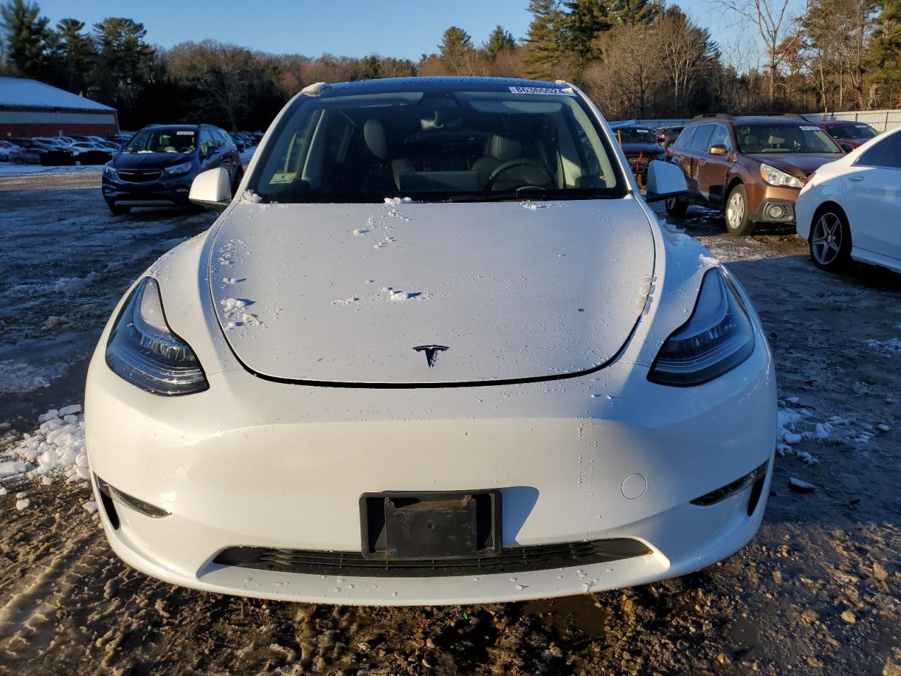 2023 TESLA MODEL Y - Фото 5