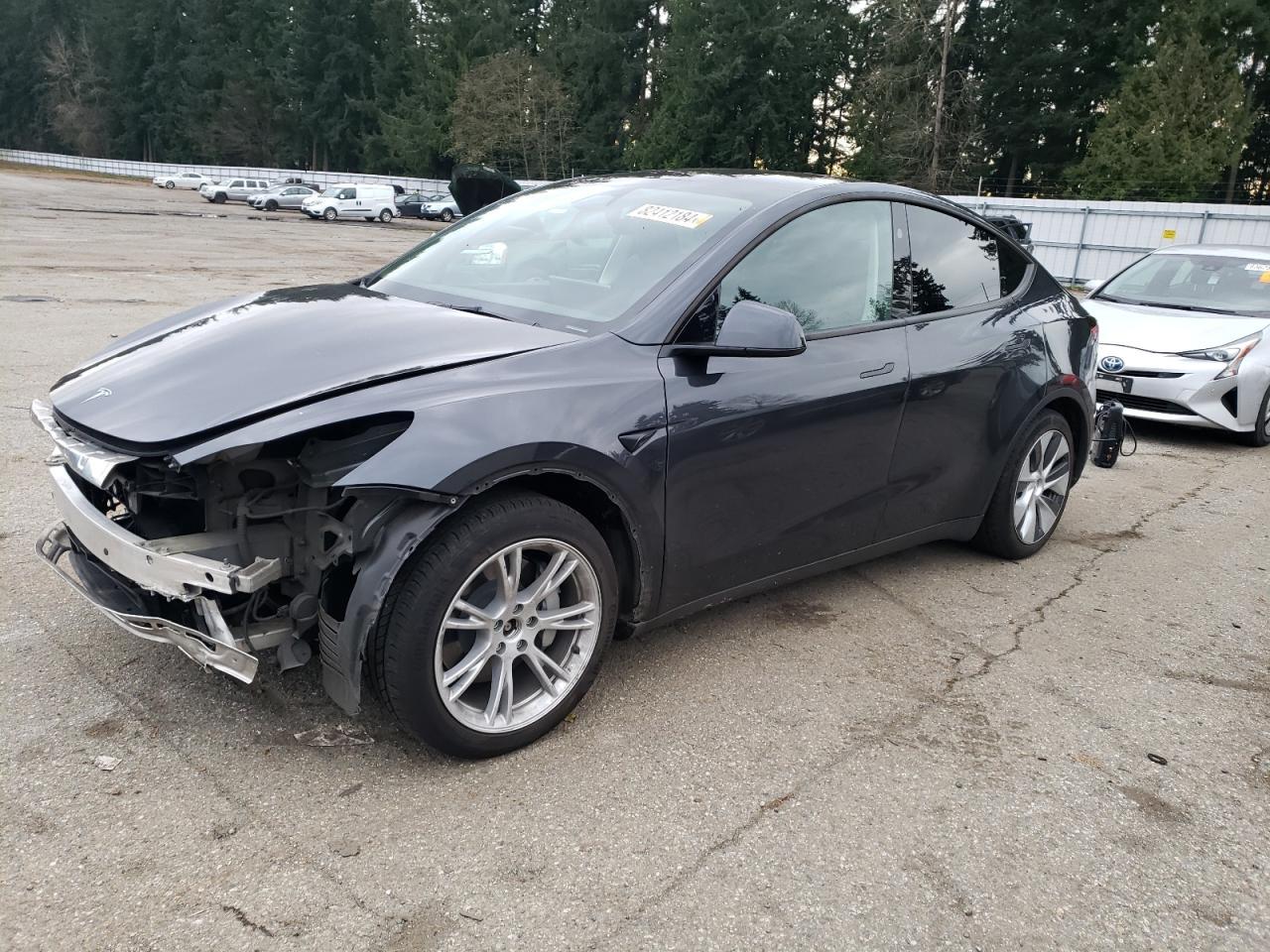 2024 TESLA MODEL Y