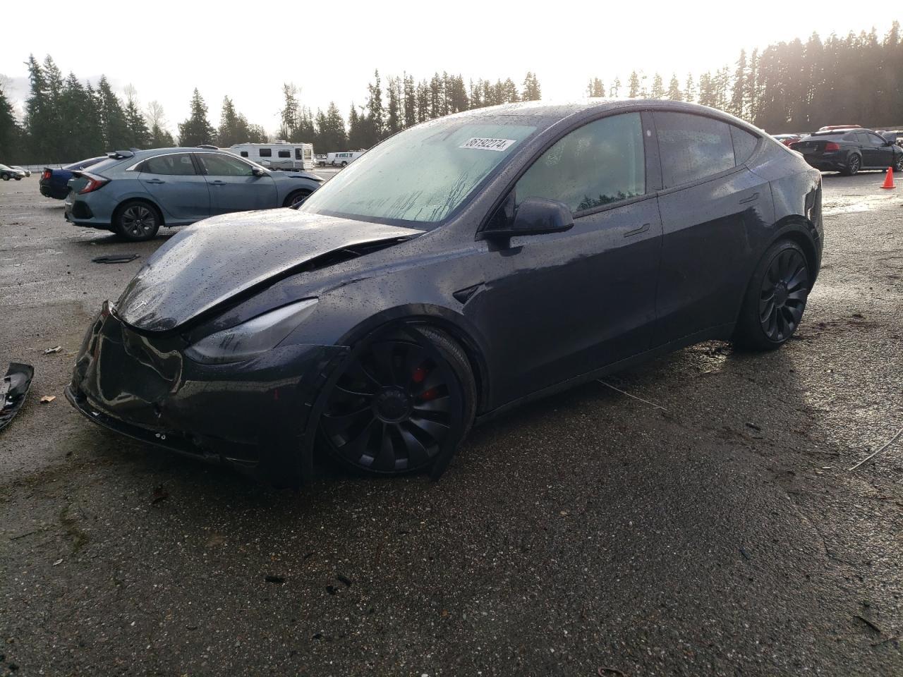 2024 TESLA MODEL Y