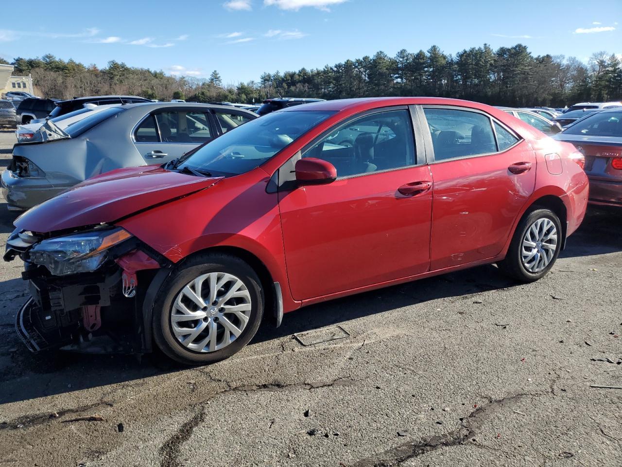 2019 TOYOTA COROLLA L