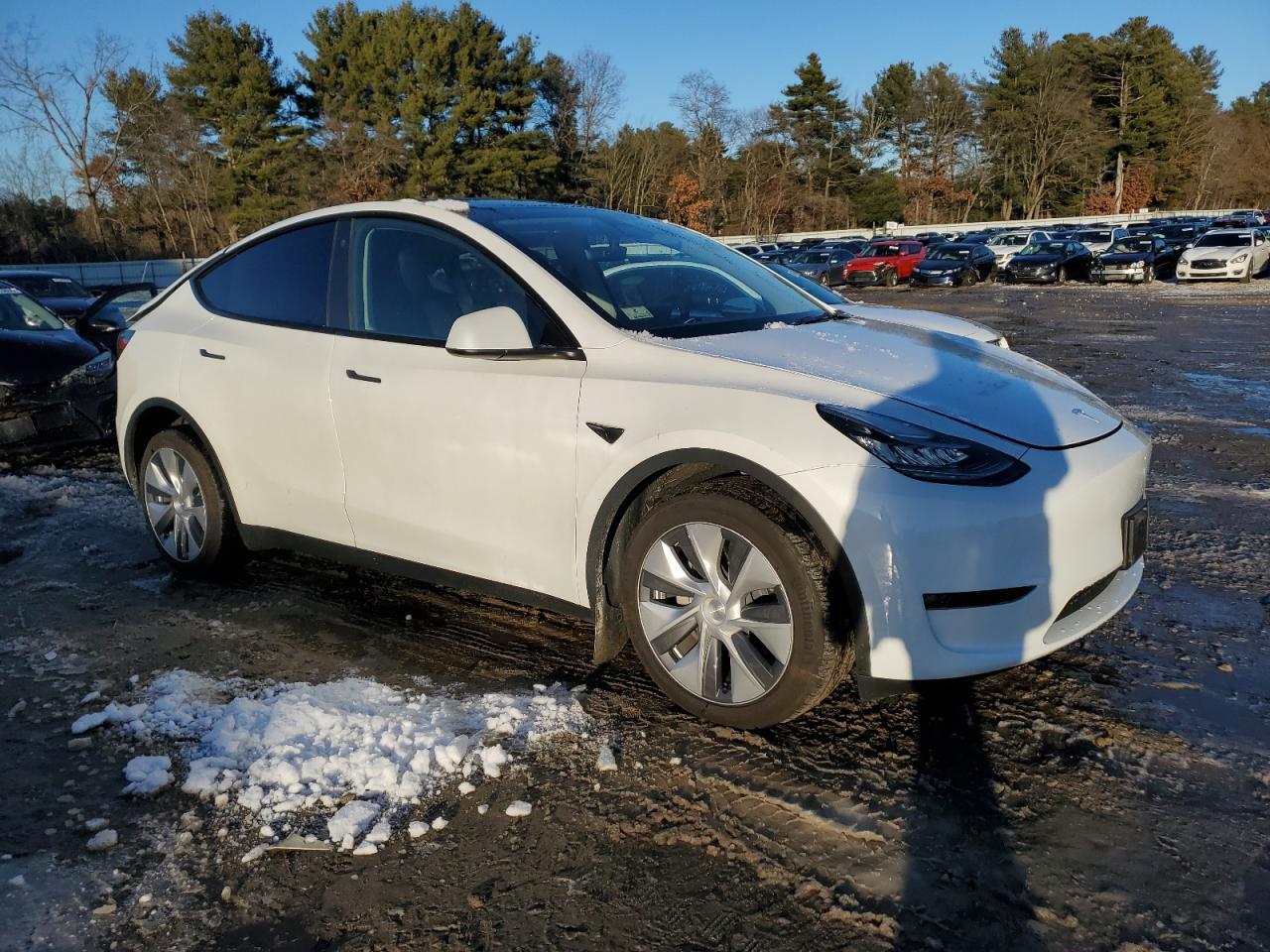 2023 TESLA MODEL Y - Фото 4