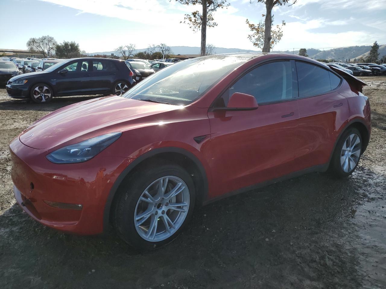 2023 TESLA MODEL Y