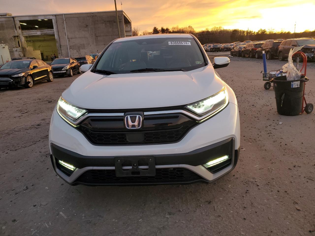 2020 HONDA CR-V EXL - Image 5