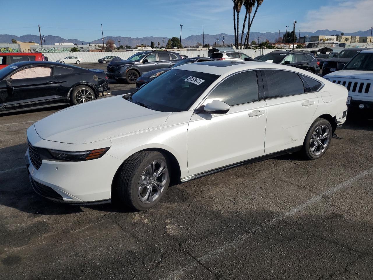 2024 HONDA ACCORD HYB