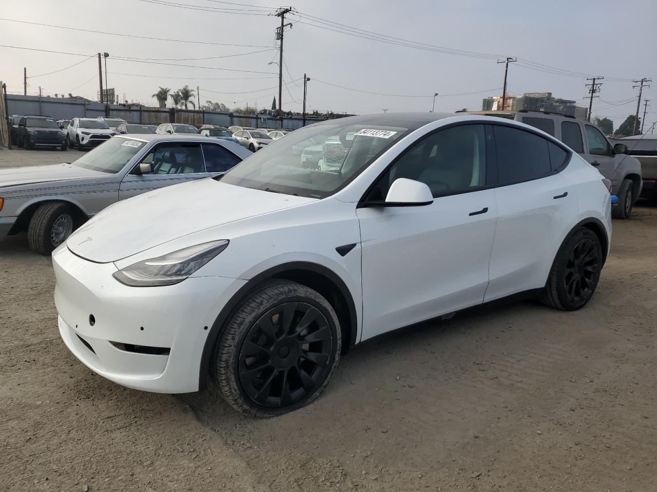 2021 TESLA MODEL Y car image