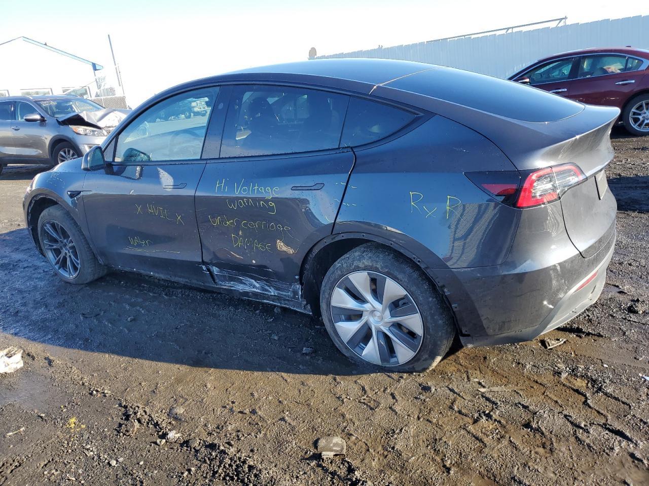 2024 TESLA MODEL Y - Фото 2