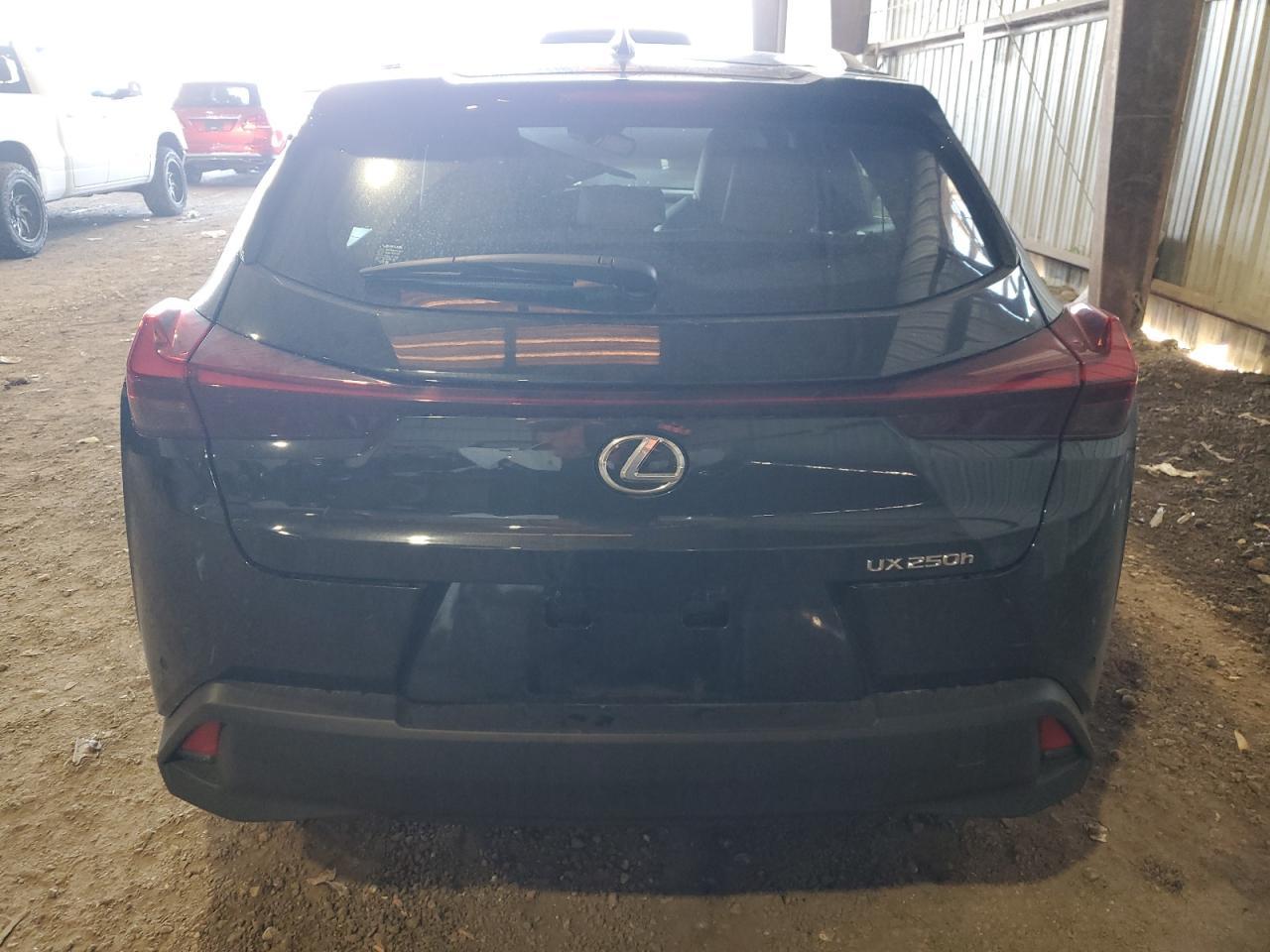 2023 LEXUS UX 250H BA - Image 6