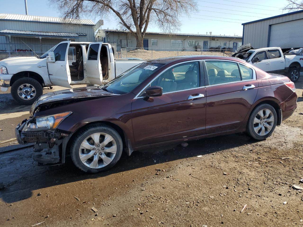 2010 HONDA ACCORD EXL car image