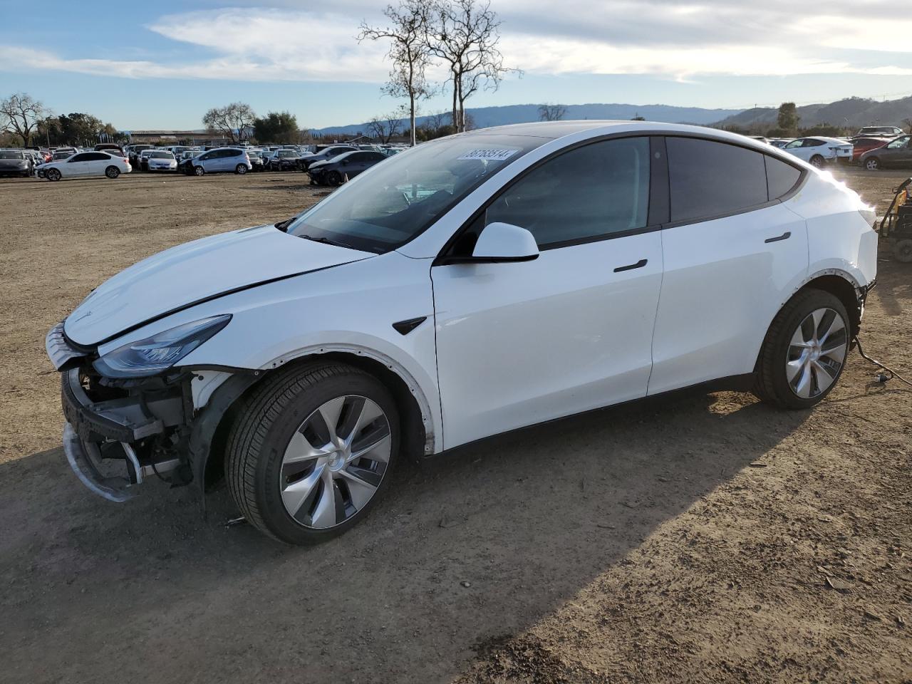 2022 TESLA MODEL Y
