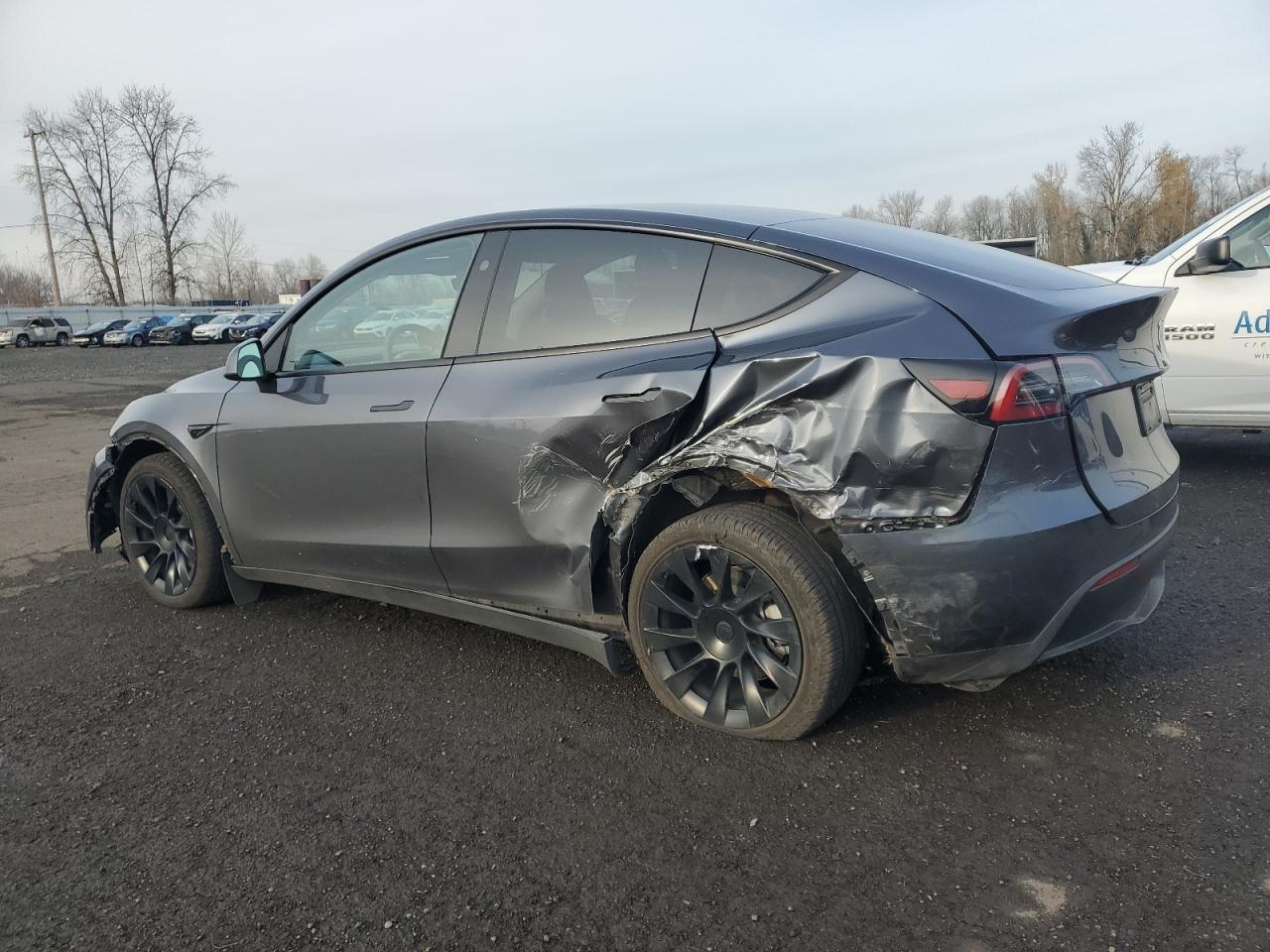 2023 TESLA MODEL Y - Фото 2