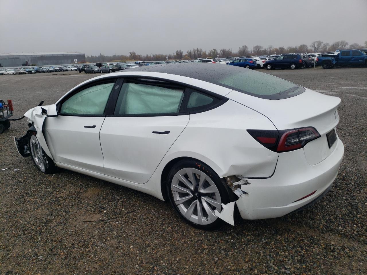 2023 TESLA MODEL 3 - Фото 2
