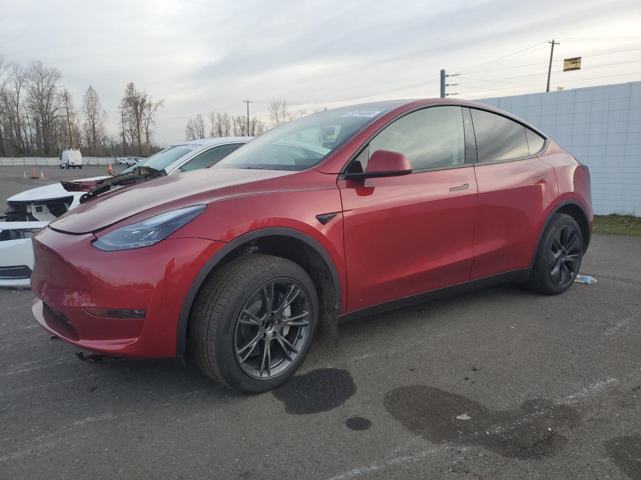 2024 TESLA MODEL Y