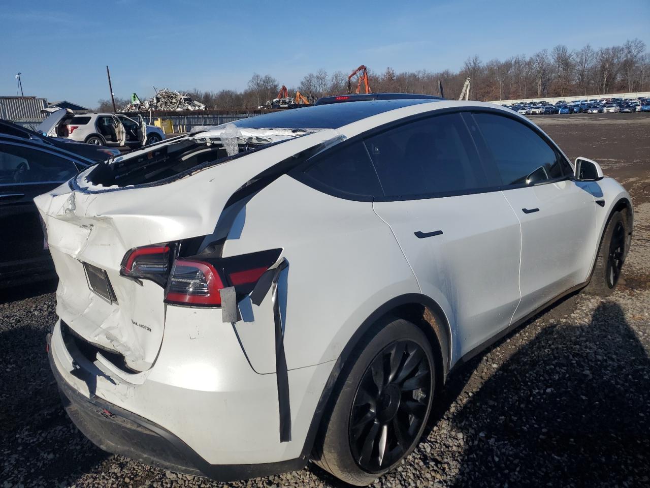2023 TESLA MODEL Y - Фото 3