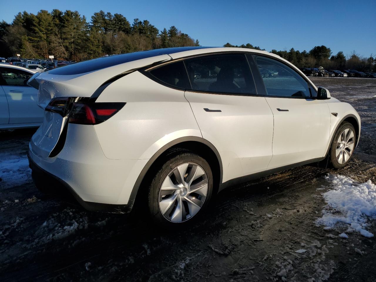 2023 TESLA MODEL Y - Фото 3