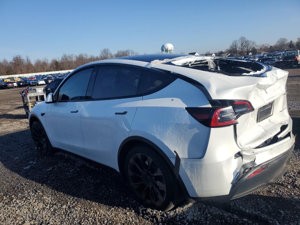 2023 TESLA MODEL Y - Фото 2
